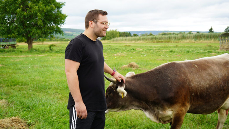Daniel Baldy streichelt anläßlich der Sommmertour 2023 eine braune Kuh am Kopf.